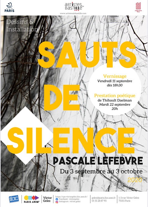 Sauts de silence