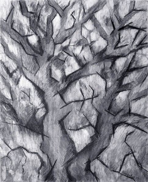 « Arbre/branches 1 » - 
Fusain et craie blanche sur papier - 
40 x 50 cm 
