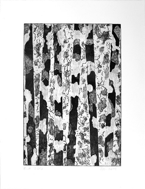 « Forêt » - 
Gravure à l’eau forte sur cuivre
(gros sel, aquatinte et pointe sèche) - 
20 x 30 cm 
