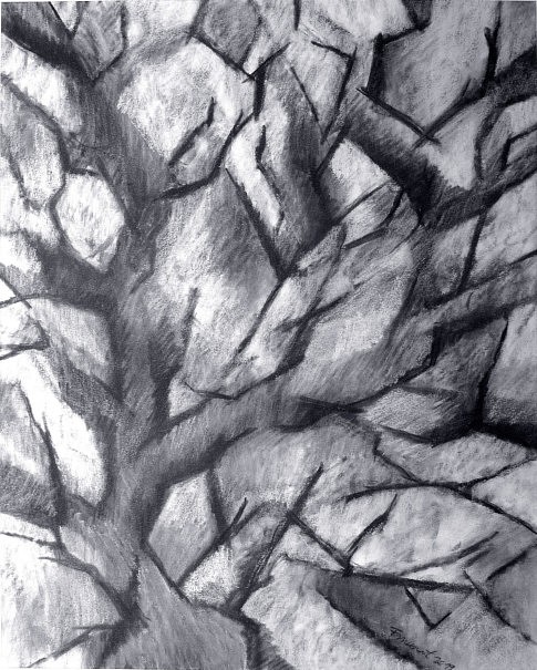 « Arbre/branches 2 » - 
Fusain et craie blanche sur papier - 
40 x 50 cm 
