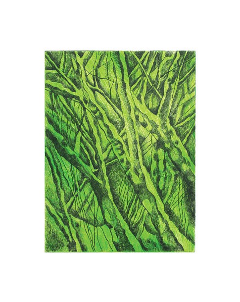 « Branches sous la neige » - 
Gravure à la pointe sèche sur rhénalon (tirage 2 couleurs) - 
15 x 20 cm 