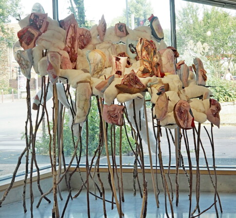 LA SAGA DES EQUIVOQUES - Installation 4m2/2,50m