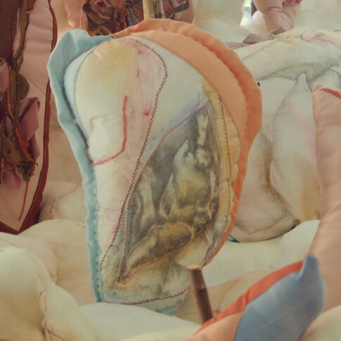 LA SAGA DES EQUIVOQUES - détail