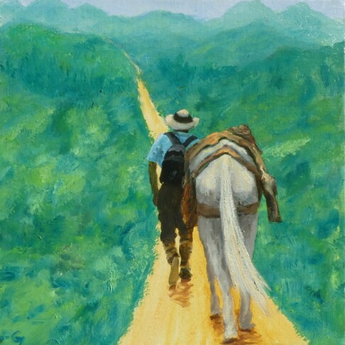 On the road again,
Les Andes - Colombie