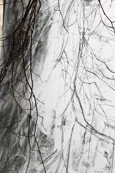 Miroir, Miroir, 2018, Branches de coudrier sous une lumière d’avril, reflets de plomb, devant la fenêtre, Bois, papier-calque, graphite, fil d’argent, 300  x 120  x 30 cm