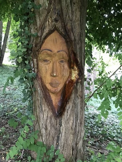 Elle ouvre le rideau de l'écorce de l'arbre et nous regarde passer .....