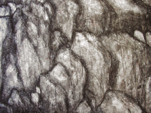 Ocean_Bottom_inkdrawing_3